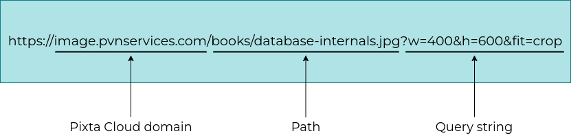 domain structure